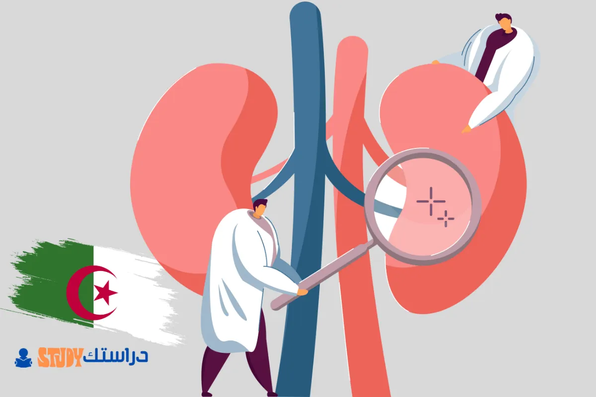 دراسة الطب في الجزائر