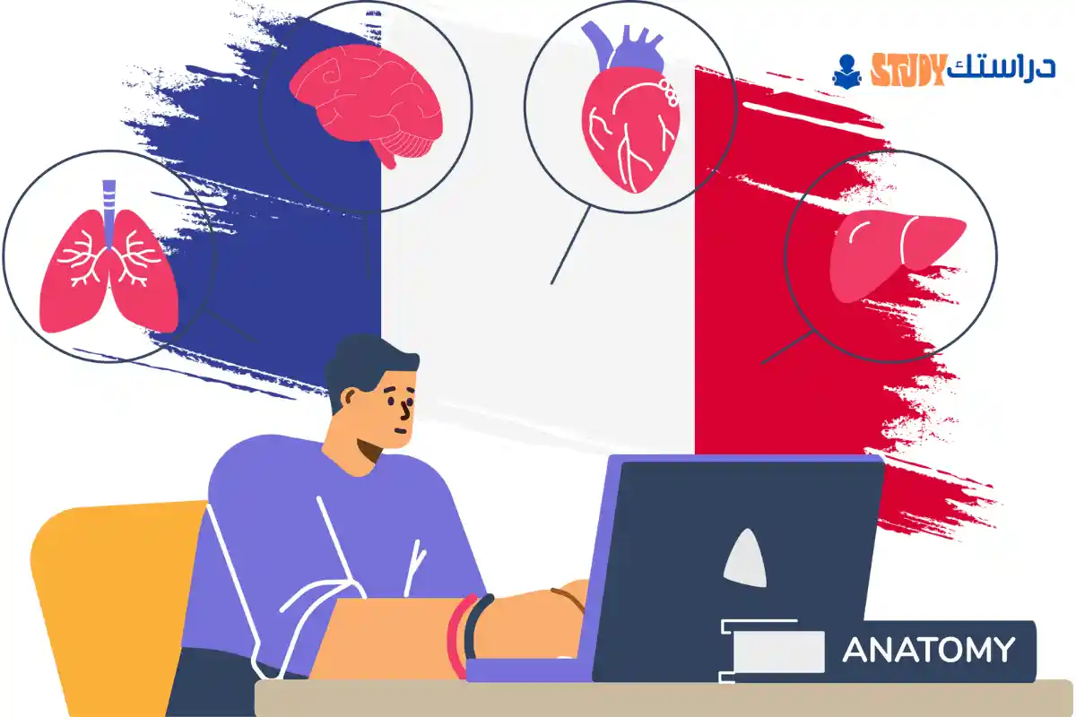 دراسة الطب في فرنسا