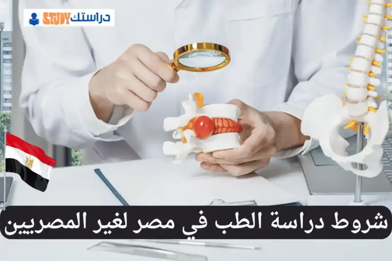 دراسة الطب في مصر